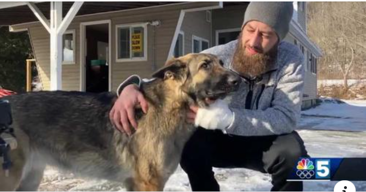 Un câine din SUA și-a salvat stăpânul după ce i-a adus pe polițiști la locul accidentului: ”Este un miracol”