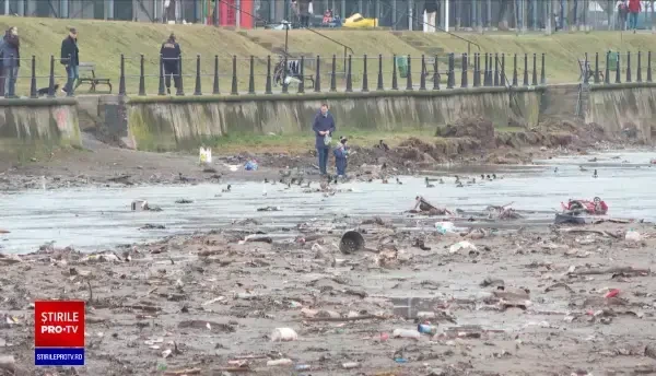 Rampă de gunoi și bazar de vechituri pe albia Șomeșului Mic. Faleza arată dezolant