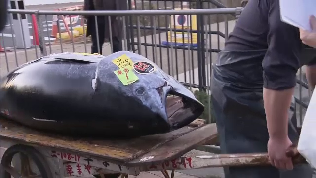 Un ton de 211 kilograme a fost adjudecat pentru 129.000 de euro