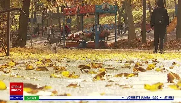 Horoscop 6 ianuarie, cu Neti Sandu. Leii primesc o declarație de dragoste