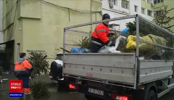 Unde trebuie aruncați brazii de Crăciun. „Marea majoritate îi lăsă în cel mai bun caz la ghena de gunoi”