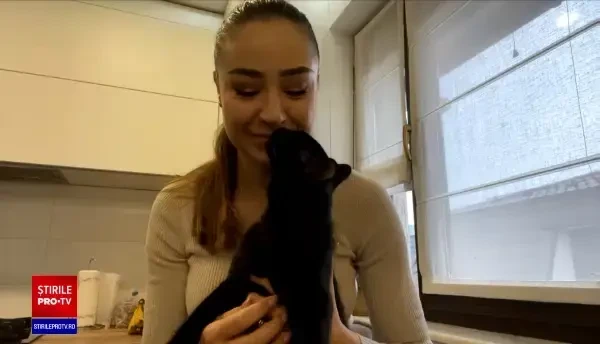 Ce se întâmplă cu animalele de companie după ce un cuplu se desparte: ”Suferă cel mai tare”