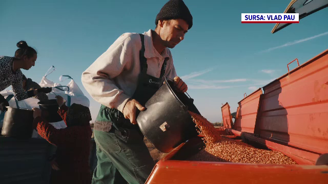 Noua lege a cooperativelor. Țăranii sunt scutiți de plata unor impozite și pot accesa bani din fonduri UE