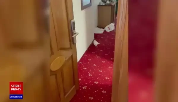O cameră de hotel din Slănic Moldova, devastată de turiști