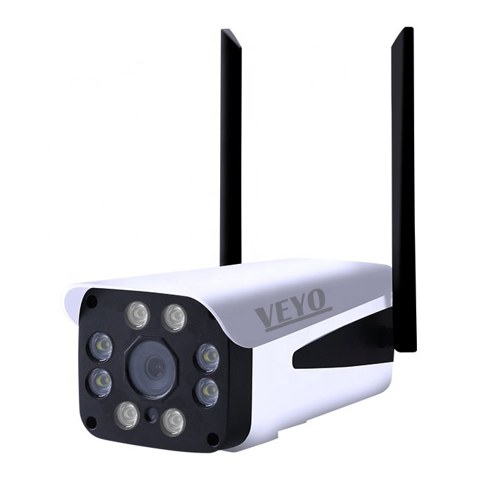 (P) Camerele de supraveghere, un lux accesibil