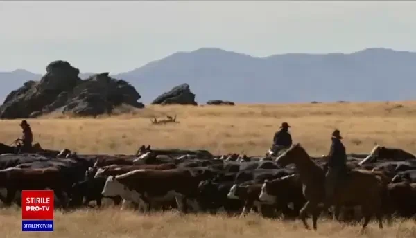 Ce filme au câștigat cea mai tristă ediție a Globurilor de Aur. De ce au fost boicotate de toată lumea premiile din 2022