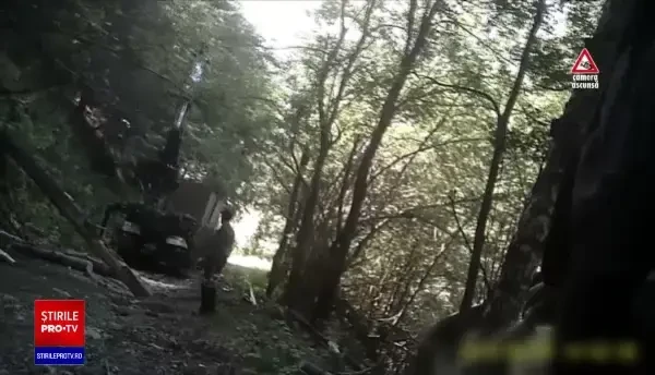 Pădurile din parcurile naționale românești sunt distruse de tăieri și construcții ilegale. Ce planuri are Ministerul Mediului