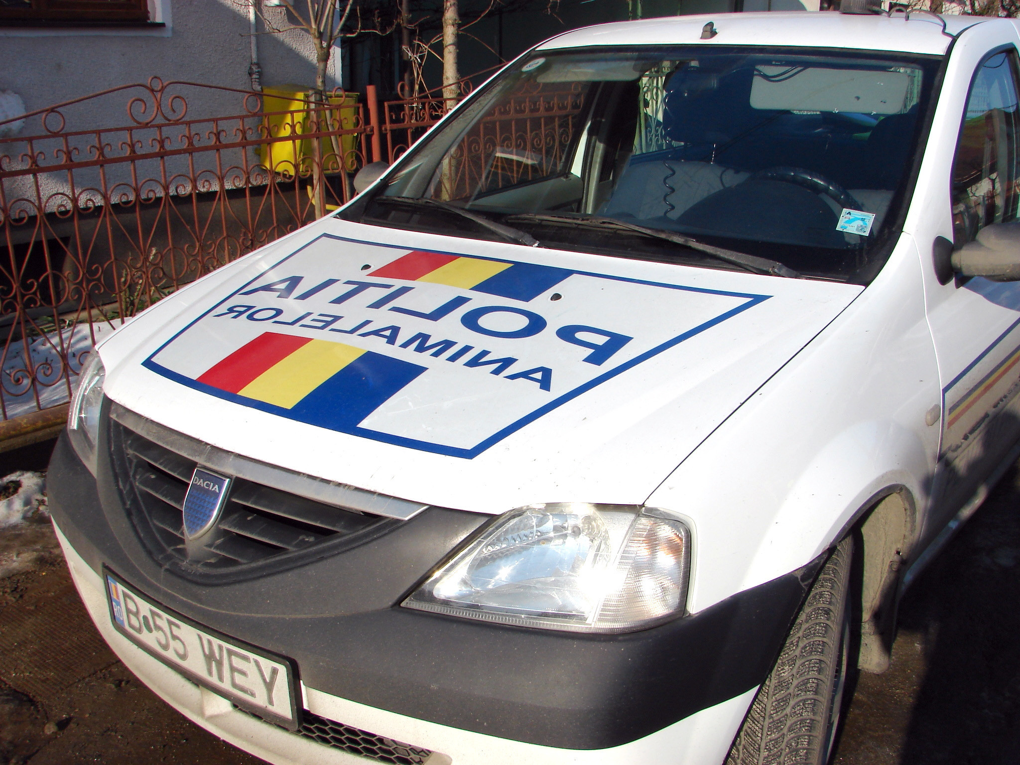 Oamenii, tot mai revoltați de activitatea slabă a Poliției Animalelor. Făptașii, iertați de cele mai multe ori