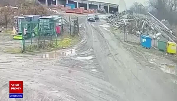 Oamenii, tot mai revoltați de activitatea slabă a Poliției Animalelor. Făptașii, iertați de cele mai multe ori