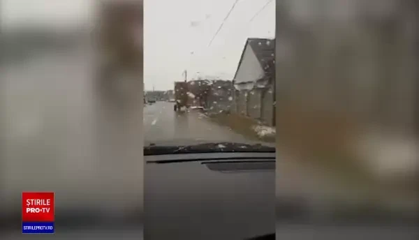 Un tânăr din Bihor bănuit că ar fi ucis un câine pe care l-a târât doi kilometri după o căruţă, reţinut de poliţişti