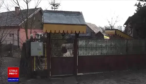 Trei tineri din Mureș au ucis în bătaie un câine, după un conflict cu proprietarul animalului