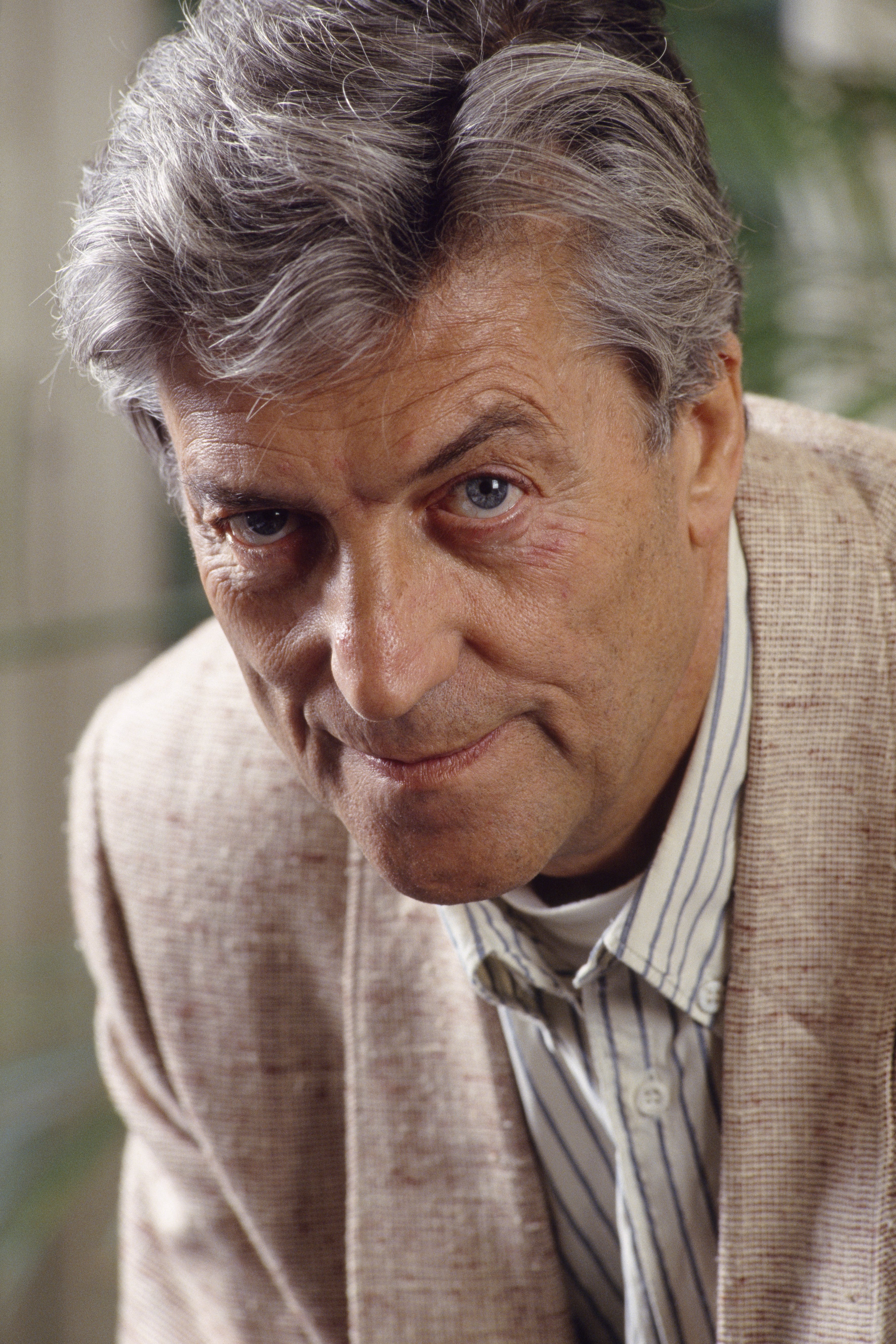nino cerruti
