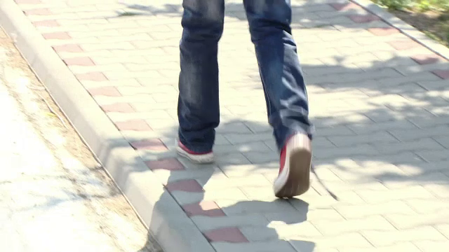 Un român din județul Alba a fost prins la doi ani după ce a violat o fetiță într-un parc din Paris