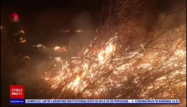 Incendii de suprafeţe stuficole, în apropierea oraşului Sulina