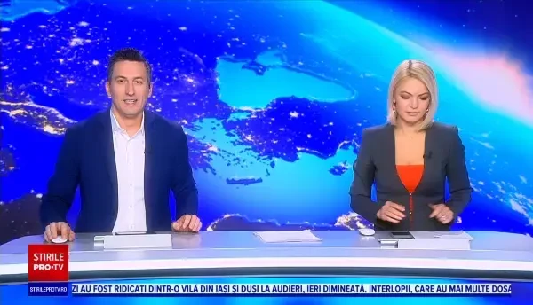 Festin din brazii de Crăciun pentru animalele de la zoo. Ce au făcut leii cu ei