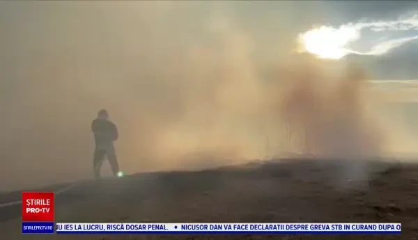 Incendiile de vegetație fac prăpăd în Moldova. Zeci de hectare s-au făcut scrum în Iaşi, Suceava și Botoșani