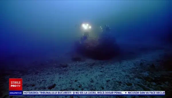 Un recif de corali uriaș, în formă de trandafir, descoperit la 30 de metri adâncime în largul insulei Tahiti