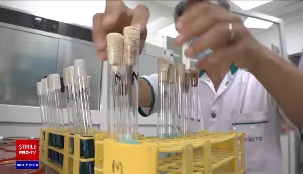 Condimente cu probleme în magazinele din România. Ce au descoperit inspectorii în pungile de oregano