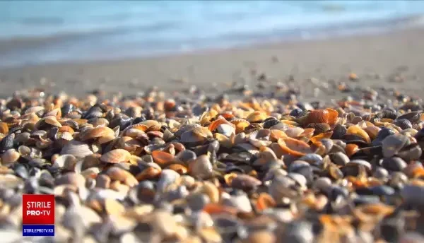 Litoralul este primitor și pe timp de iarnă. De ce aleg românii să meargă la mare în ciuda vremii reci