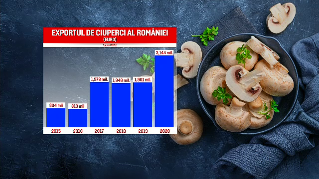 România exportă de trei ori mai multe ciuperci decât în 2015