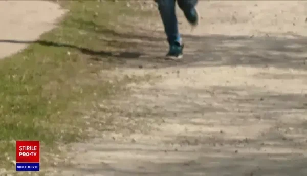 Copil de șase ani din Dâmbovița, ucis de câinii familiei. Părinții au strâns 18 dulăi în curte să-i păzească de hoți