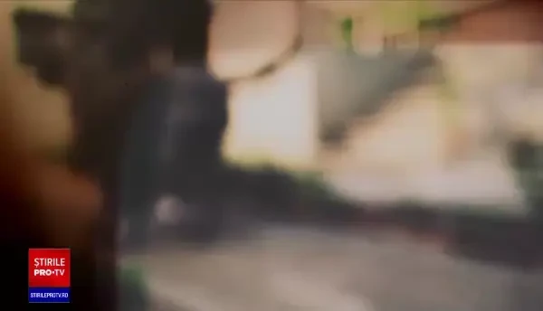 Copil de șase ani din Dâmbovița, ucis de câinii familiei. Au strâns 18 dulăi în curte să-i păzească de hoți. Reacția mamei