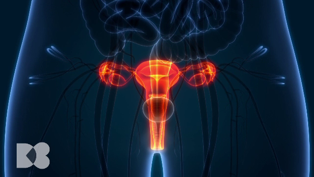 Cât de des ar trebui făcut un control ginecologic. Medicii explică de ce