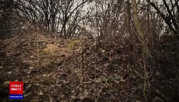 Un om de afaceri sibian, dispărut de trei luni, a fost găsit mort în Pădurea Băneasa din București