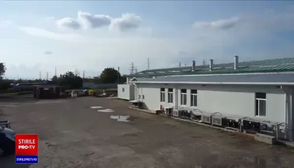 Producătorii tradiționali sunt tot mai numeroși în ultimii ani. Au piață de desfacere pe internet