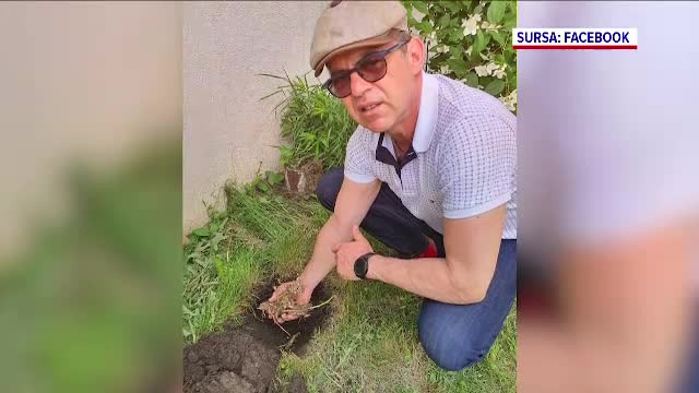 alexandru coman, sibiu