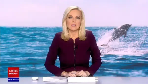 Dezorientat și flămând, un pui de delfin a ajuns în ecluza de la Năvodari