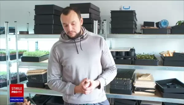 România exportă de trei ori mai multe ciuperci decât în 2015