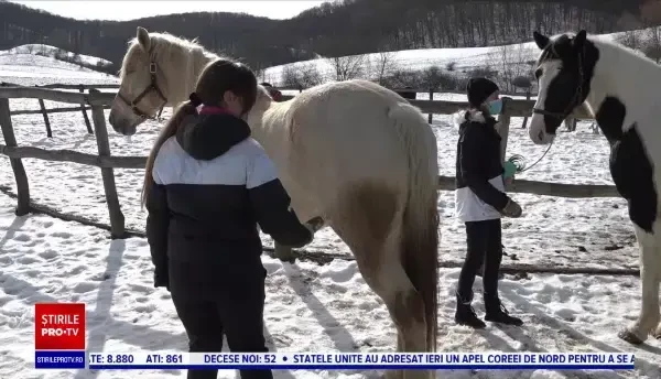 Centrele de echitație, la mare căutare. Cât costă o plimbare de o oră