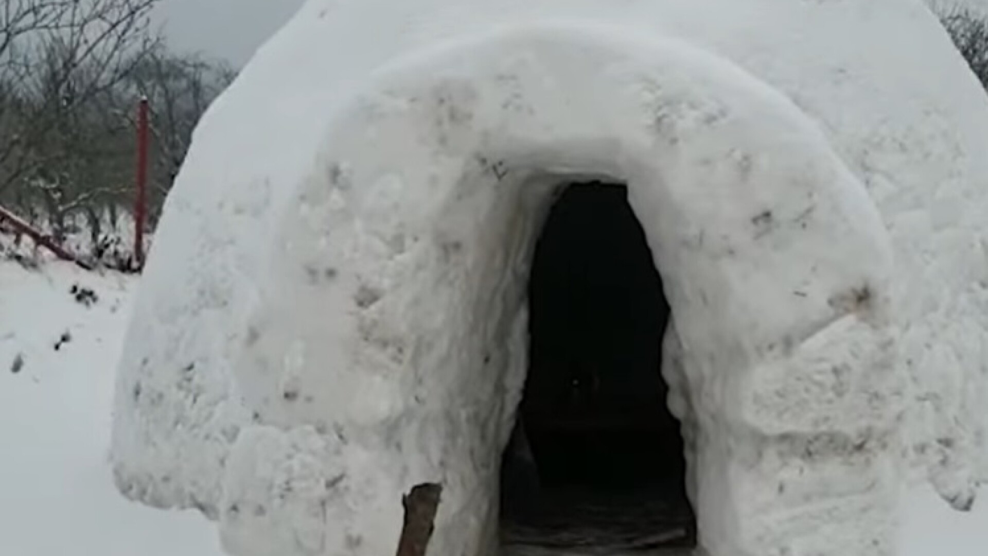 Un bărbat din Cluj și-a construit un iglu adevărat în curte. Cum arată în interior. VIDEO