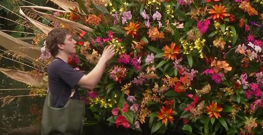 Grădina Botanică din Londra, gazda celui mai mare festival al orhideelor. Vizitatorii vor admira mii de flori