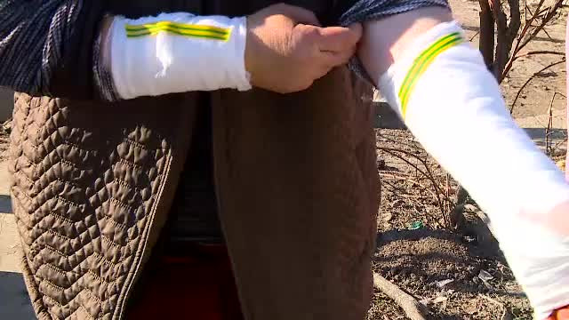 O mamă și fiul ei au fost sfâșiați de un câine agresiv, care a scăpat dintr-o curte, în Fundeni