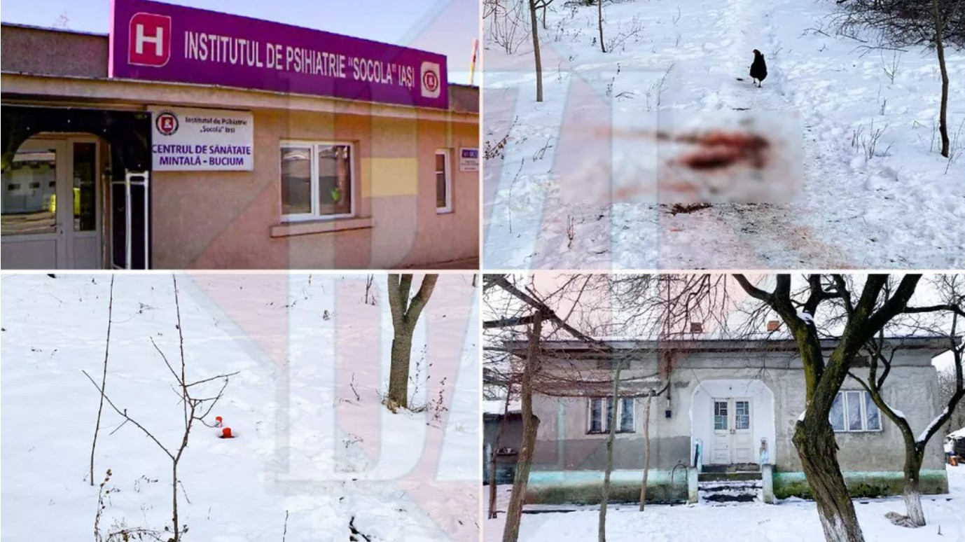 Mărturia îngrozitoare a ieșeanului care și-a decapitat mama cu toporul: ”Era plină de șerpi”