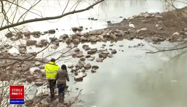 Un pui de lebădă cu un cârlig de pescuit prins în cioc a fost salvat de comisarii Gărzii de Mediu