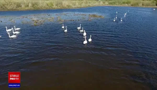 Turismul românesc este în declin. Cum ar putea fi reconfigurate camerele de hotel pentru a atrage mai mulți clienți