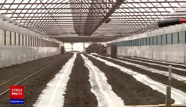 Fermierii, ”loviți” de costurile uriașe cu energia și combustibilul. Unii au amânat cultivatul pentru a nu porni centralele