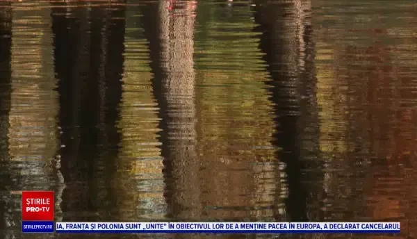 Horoscop 9 februarie, cu Neti Sandu. Leii își fac planuri pentru căsătorie