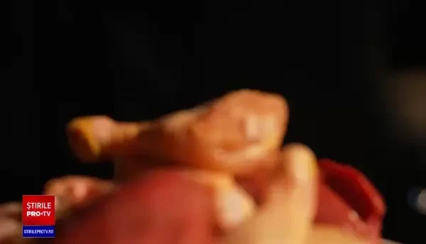 Urme de antibiotic, găsite în carnea de pui de pe piață. O investigație Inspectorul PRO