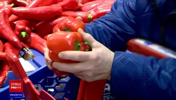 Prețurile vor crește și mai mult anul acesta, iar în primăvară inflația ar urma să treacă de 11%