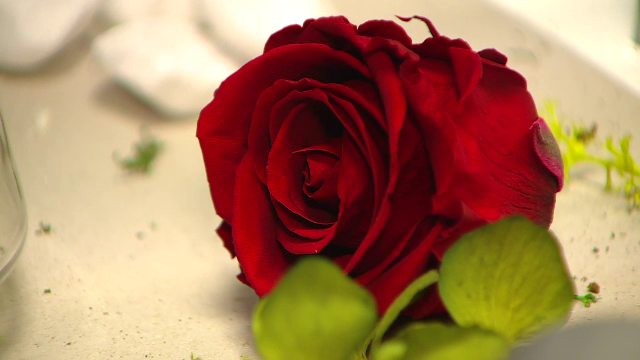 Flori criogenate sau trandafiri care trăiesc ani de zile, cele mai inedite cadouri de Valentine’s Day. Ce prețuri au