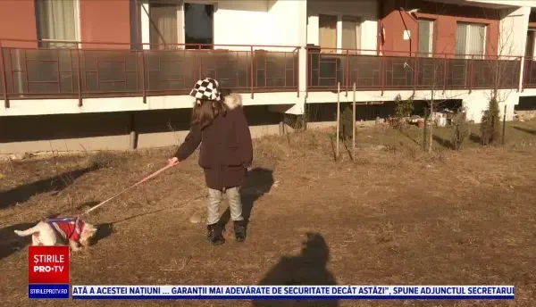 Două fetițe de zece ani și-au făcut o afacere, după școală. Plimbă câinii din cartier, la prețuri atractive