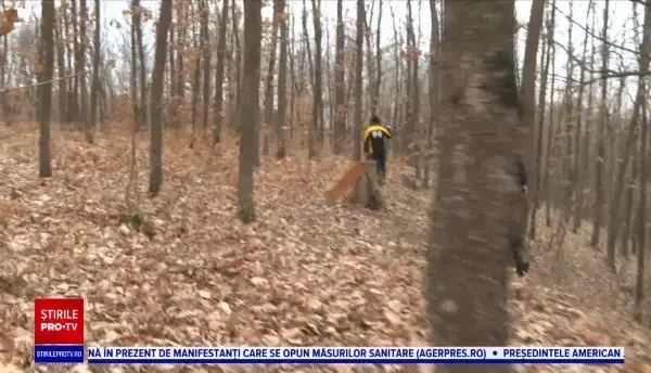 Mobilizare de proporții în Gorj, după dispariția unui bătrân. S-a întors singur acasă, în timp ce zeci de oameni îl căutau