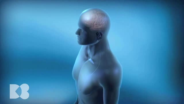 Hormonii de stres au impact asupra celulelor imunitare, dar şi asupra tuturor muşchilor