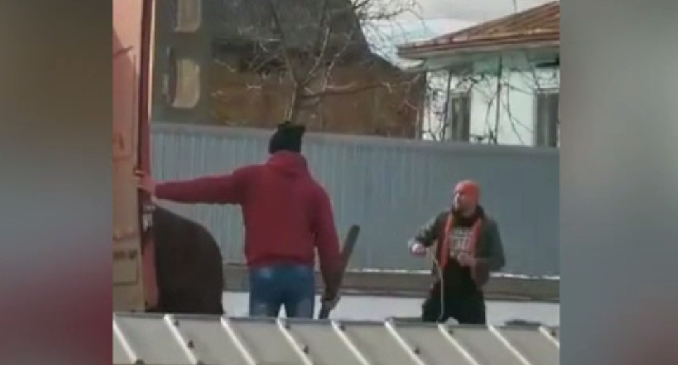 Cal bătut cu cruzime într-o comună din Botoșani. Polițiștii îi caută pe făptași