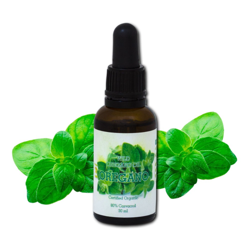 (P) Beneficiile uleiului de oregano