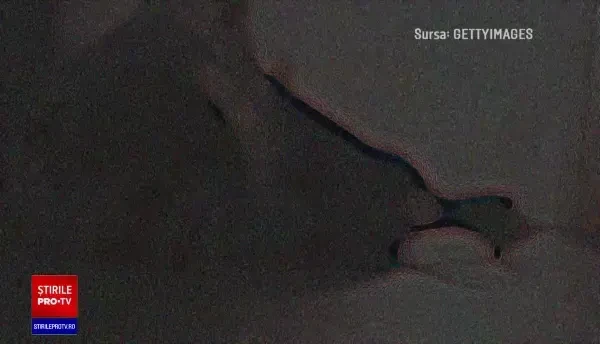 Chinurile îngrozitoare la care a fost supusă o fetiță de 8 ani de către părinți. Pedeapsa acestora a fost redusă drastic